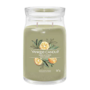 Yankee Candle® Large Jar – Sage & Citrus Signature
