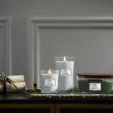 WoodWick® Medium Candle – Magnolia Birch